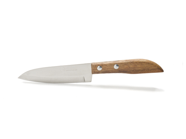 Fruit Knife (10 cm)